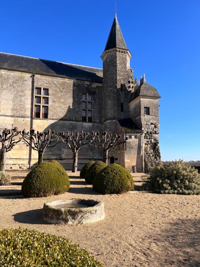 Maisons D'Hotes Du Chateau Au Grand Pressigny Le Grand-Pressigny Exteriér fotografie